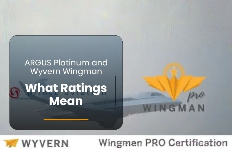 ARGUS Platinum and Wyvern Wingman